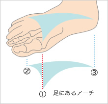 フッドベッドの図解